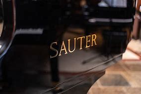 Sauter Omega 220 